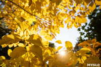 Золотая осень по-тульски, Фото: 46
