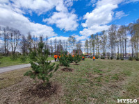 ЕВРАЗ посадил в Пролетарском парке 100 деревьев, Фото: 55