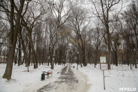 Рогожинский парк, зима 2019, Фото: 2