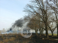 В Туле загорелось поле, Фото: 23