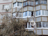 В Туле упавшее на девятиэтажку дерево повредило несколько балконов, Фото: 9