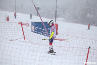 Соревнования по горнолыжному спорту в Малахово, Фото: 44