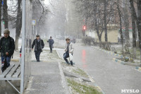 Снег в Туле 17 апреля, Фото: 8