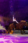 Успейте посмотреть шоу «Новогодние приключения домовенка Кузи» в Тульском цирке, Фото: 117
