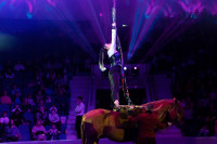 Успейте посмотреть шоу «Новогодние приключения домовенка Кузи» в Тульском цирке, Фото: 113