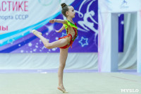 Тула провела крупный турнир по художественной гимнастике, Фото: 22