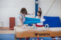 Мужская спортивная гимнастика в Туле, Фото: 13