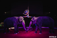 «Шоу Слонов» в Тульском цирке, Фото: 26
