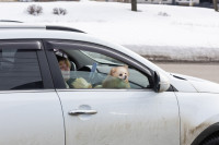 «Цветочный патруль — 2026», Фото: 67