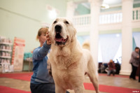 Выставка собак в ДК "Косогорец", Фото: 84