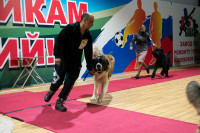 В Туле прошла выставка собак всех пород, Фото: 13