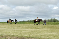 Богатырская сила-2025, Фото: 12