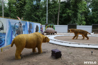 В Туле появился парк с интерактивными динозаврами, Фото: 24