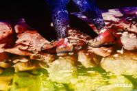 Виртеальная реальность в медицине, Фото: 20