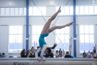 Всероссийские соревнования по спортивной гимнастике, Фото: 9