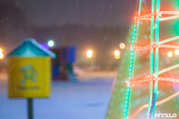 Зимняя сказка в Центральном парке, Фото: 11
