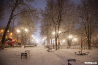 Зимняя сказка в Центральном парке, Фото: 7