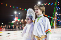 Туляки отметили Старый Новый год ледовым шоу, Фото: 46