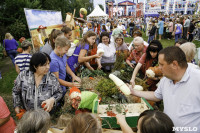 Праздник урожая в Новомосковске, Фото: 67