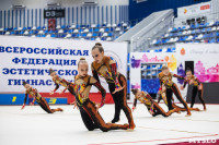 Соревнования по эстетической гимнастике «Кубок Роксэт», Фото: 161