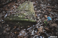 Кладбища Алексина зарастают мусором и деревьями, Фото: 71