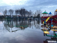 В Туле затопило Баташевский сад, Фото: 4