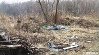 Поселок Славный в Тульской области зарастает мусором, Фото: 3