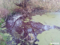 "Кровавая" вода в пруду в Михалково, Фото: 6