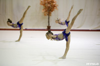 Соревнования по художественной гимнастике "Осенний вальс", Фото: 146