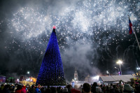Открытие новогодней ёлки на площади Ленина, Фото: 47