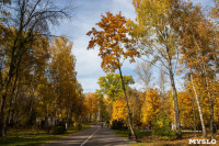 Золотая осень в Туле-2019, Фото: 66