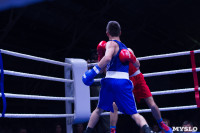 В Туле прошли финальные бои Всероссийского турнира по боксу, Фото: 43