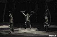 «Шоу Слонов» в Тульском цирке, Фото: 32