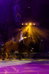 Успейте посмотреть шоу «Новогодние приключения домовенка Кузи» в Тульском цирке, Фото: 115