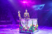 Шоу Гии Эрадзе «5 континентов» в Тульском цирке: феерия уже началась!, Фото: 70