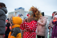 Новый год в Тульском цирке, Фото: 18