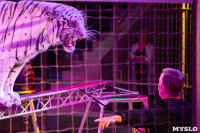 На каникулах – в Цирк больших зверей, Фото: 16