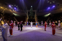 Успейте посмотреть шоу «Новогодние приключения домовенка Кузи» в Тульском цирке, Фото: 154