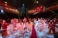 Успейте посмотреть шоу «Новогодние приключения домовенка Кузи» в Тульском цирке, Фото: 159