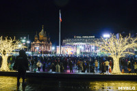 В Туле завершились новогодние гуляния, Фото: 48