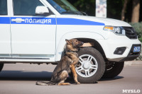 «Школодром-2018». Было круто!, Фото: 634