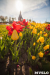 Тюльпаны в Туле, Фото: 15