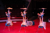 В Туле пройдет Международный детский и молодежный цирковой фестиваль «На языке мира», Фото: 31