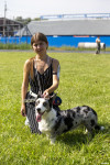 В Туле прошла выставка собак всех пород: фоторепортаж, Фото: 81