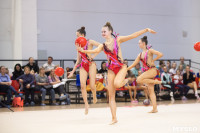 Соревнования по художественной гимнастике на призы благотворительного фонда «Земляки», Фото: 83