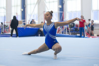 Всероссийские соревнования по спортивной гимнастике, Фото: 77