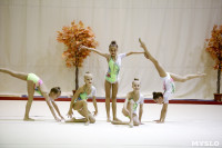 Соревнования по художественной гимнастике "Осенний вальс", Фото: 108