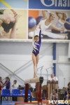 Спортивная гимнастика в Туле 3.12, Фото: 128