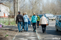 Посадка деревьев во дворе на ул. Максимовского, 23, Фото: 19