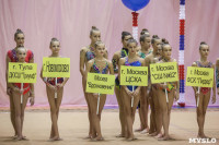 Всероссийский турнир по художественной гимнастике, Фото: 15
